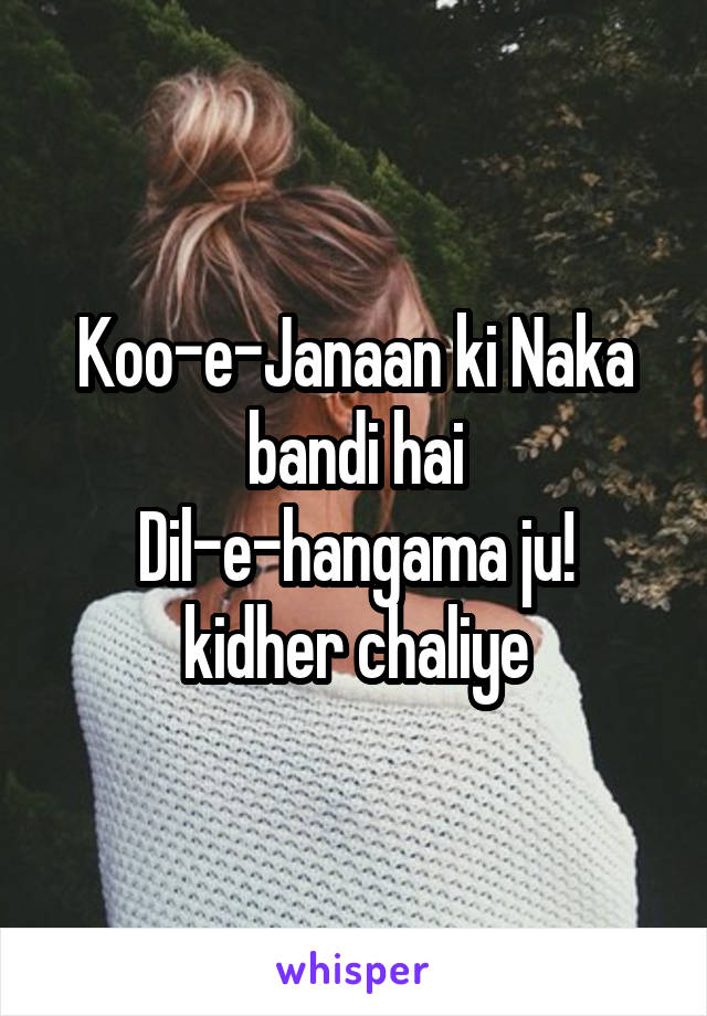 Koo-e-Janaan ki Naka bandi hai
Dil-e-hangama ju! kidher chaliye