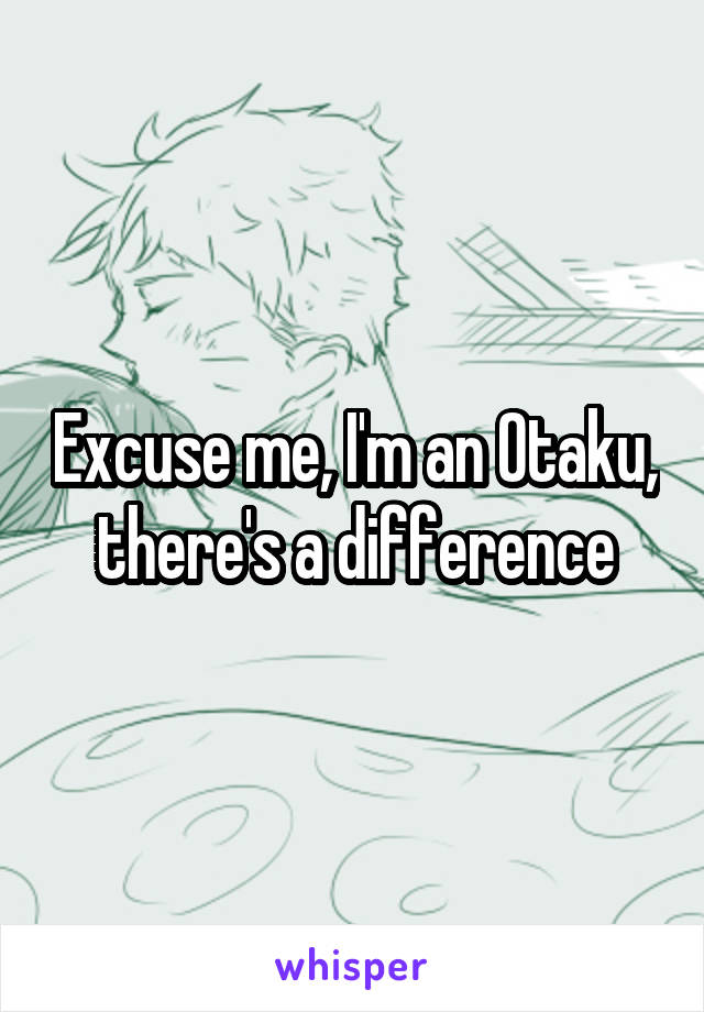 Excuse me, I'm an Otaku, there's a difference