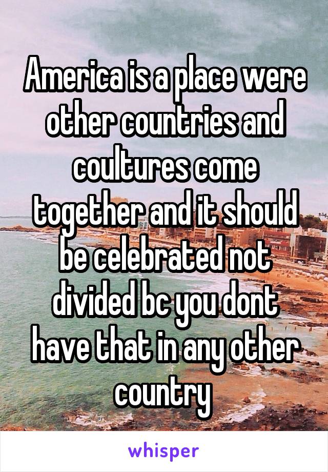 America is a place were other countries and coultures come together and it should be celebrated not divided bc you dont have that in any other country 