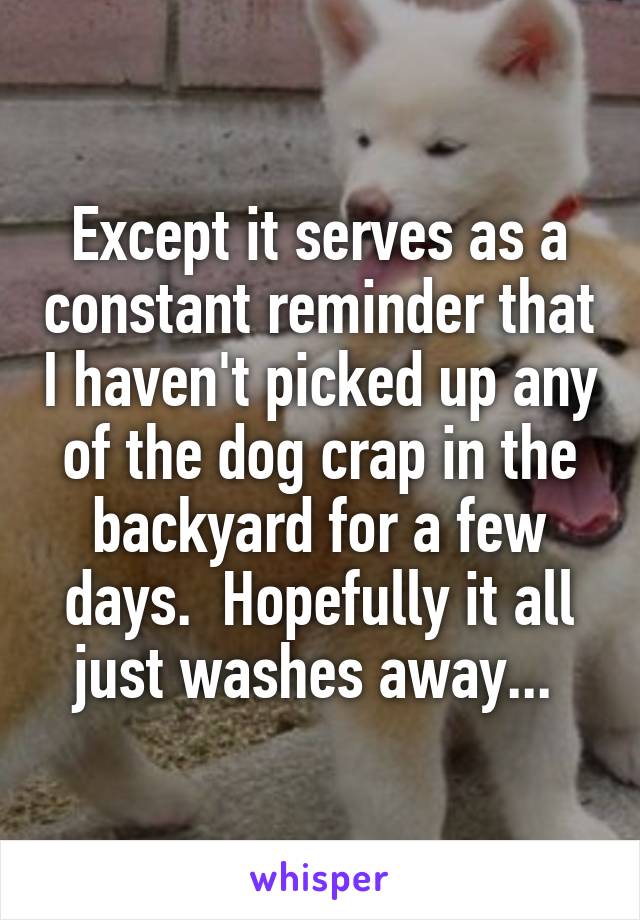 Except it serves as a constant reminder that I haven't picked up any of the dog crap in the backyard for a few days.  Hopefully it all just washes away... 