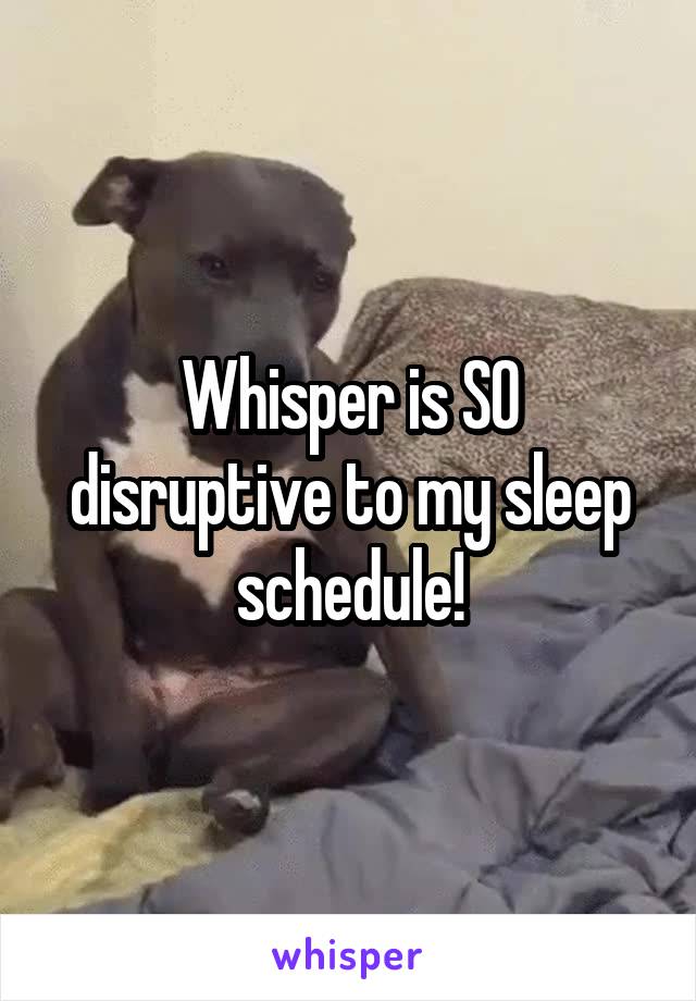 Whisper is SO disruptive to my sleep schedule!