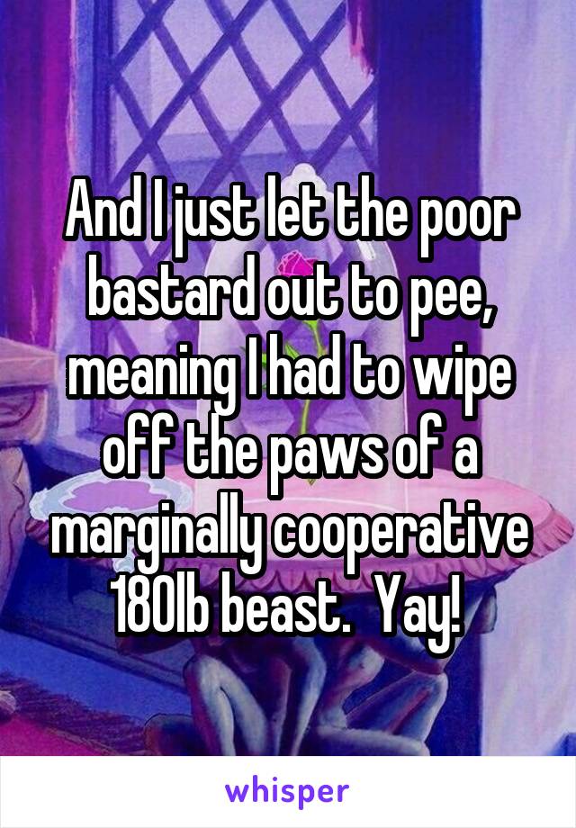 And I just let the poor bastard out to pee, meaning I had to wipe off the paws of a marginally cooperative 180lb beast.  Yay! 