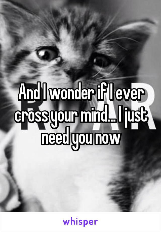 And I wonder if I ever cross your mind... I just need you now