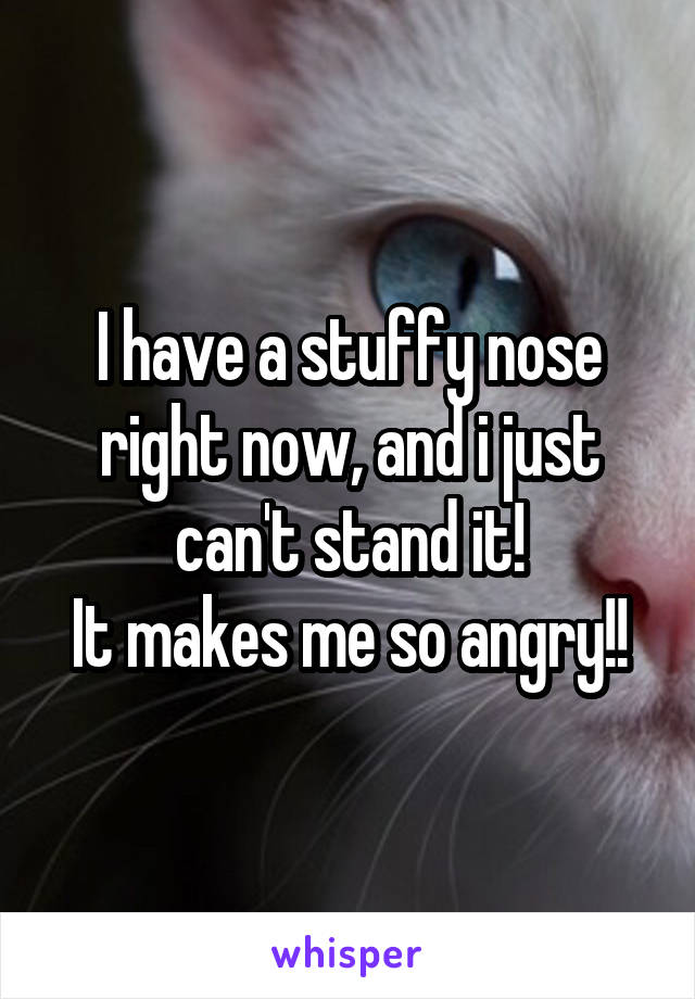 I have a stuffy nose right now, and i just can't stand it!
It makes me so angry!!