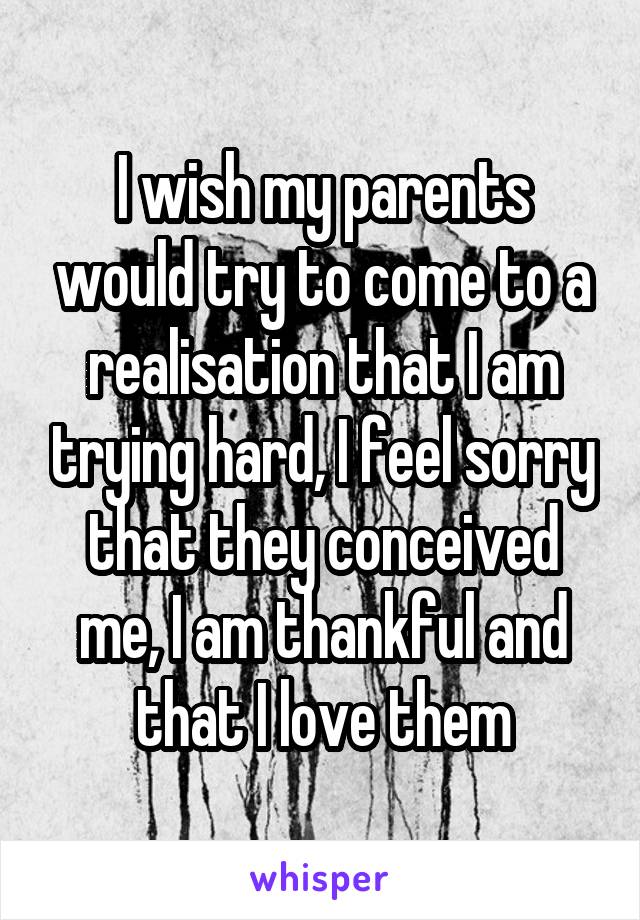 I wish my parents would try to come to a realisation that I am trying hard, I feel sorry that they conceived me, I am thankful and that I love them