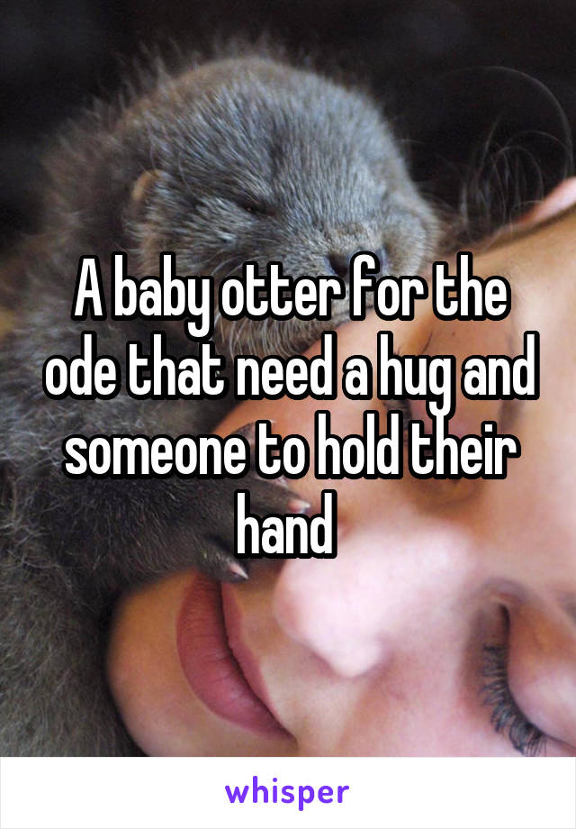 A baby otter for the ode that need a hug and someone to hold their hand 