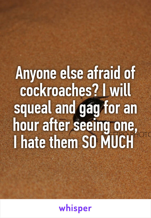 Anyone else afraid of cockroaches? I will squeal and gag for an hour after seeing one, I hate them SO MUCH 