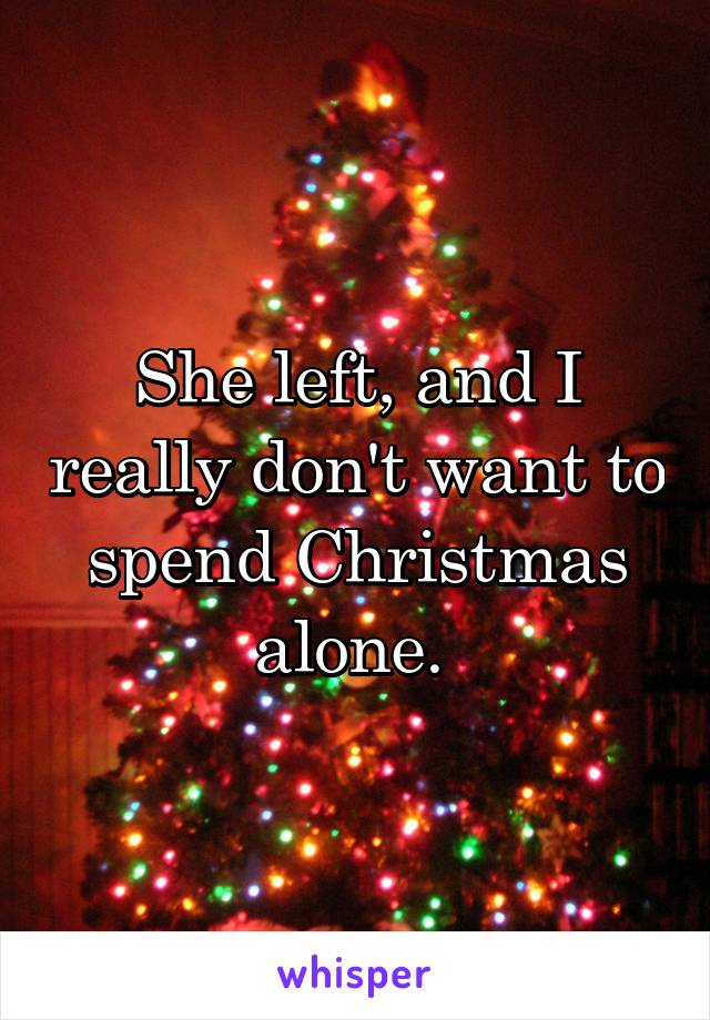 She left, and I really don't want to spend Christmas alone. 