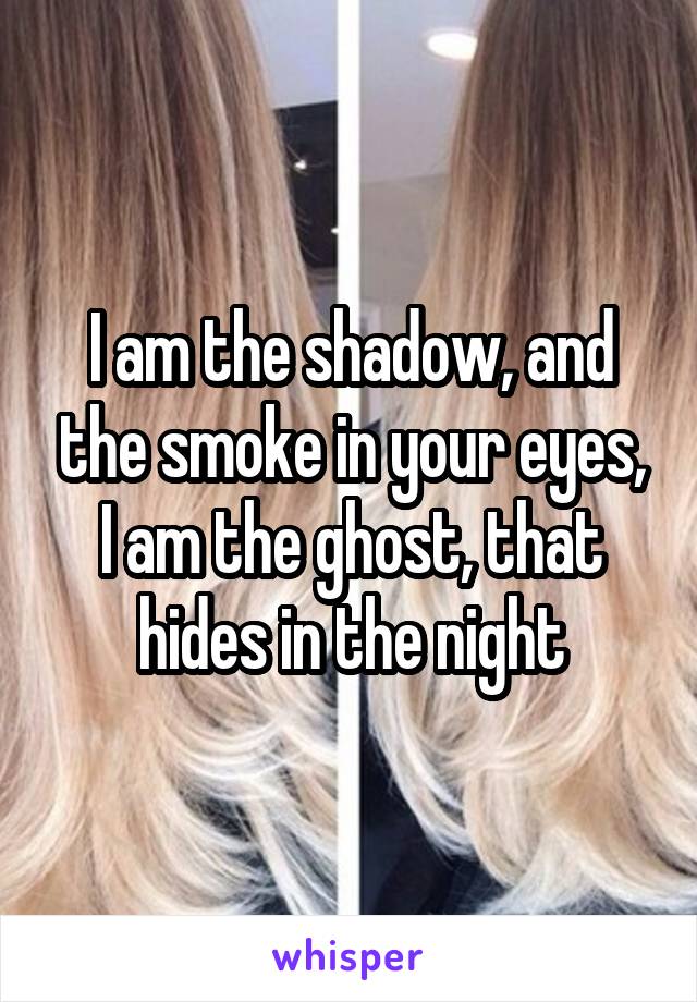 I am the shadow, and the smoke in your eyes,
I am the ghost, that hides in the night