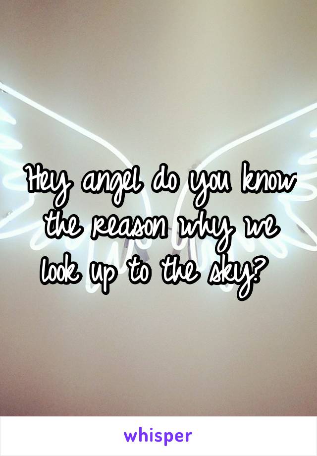 Hey angel do you know the reason why we look up to the sky? 