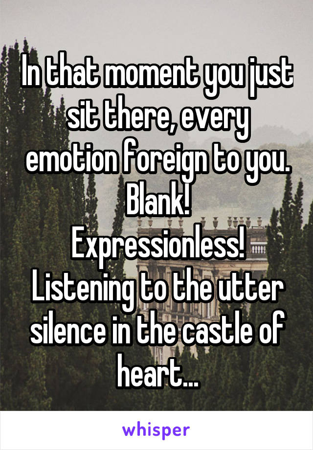 In that moment you just sit there, every emotion foreign to you.
Blank!
Expressionless!
Listening to the utter silence in the castle of heart...