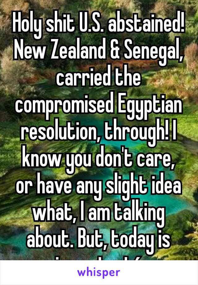 Holy shit U.S. abstained! New Zealand & Senegal, carried the compromised Egyptian resolution, through! I know you don't care, or have any slight idea what, I am talking about. But, today is importanté