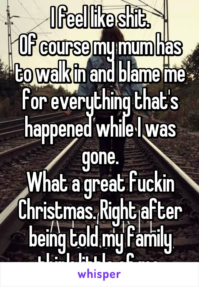 I feel like shit.
Of course my mum has to walk in and blame me for everything that's happened while I was gone.
What a great fuckin Christmas. Right after being told my family think little of me.