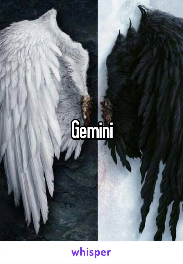 Gemini