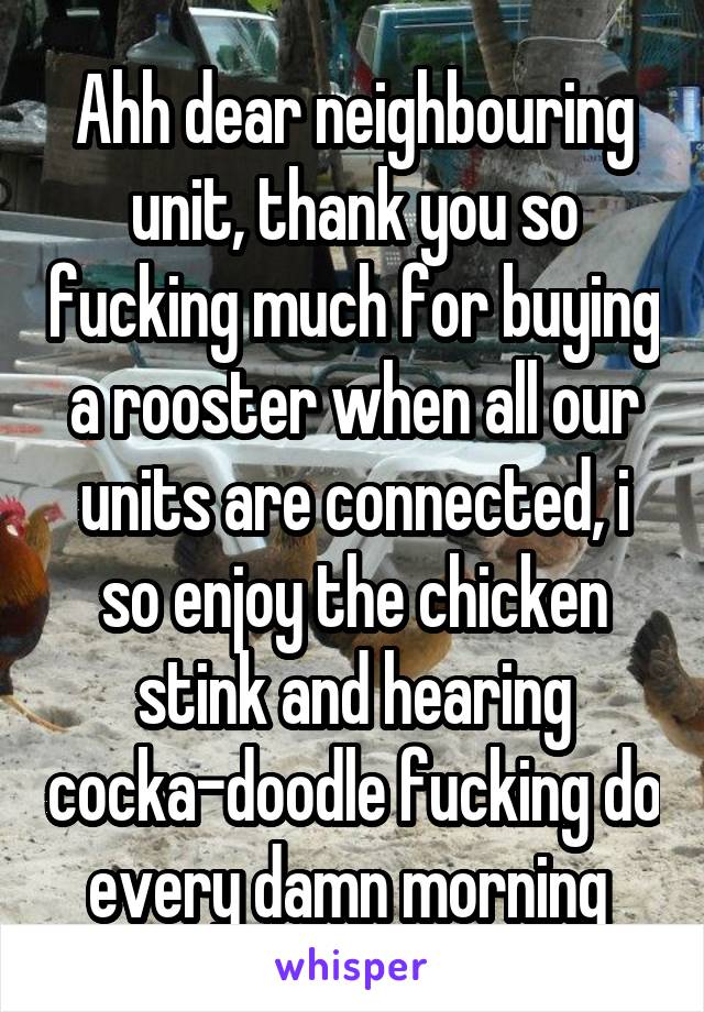 Ahh dear neighbouring unit, thank you so fucking much for buying a rooster when all our units are connected, i so enjoy the chicken stink and hearing cocka-doodle fucking do every damn morning 