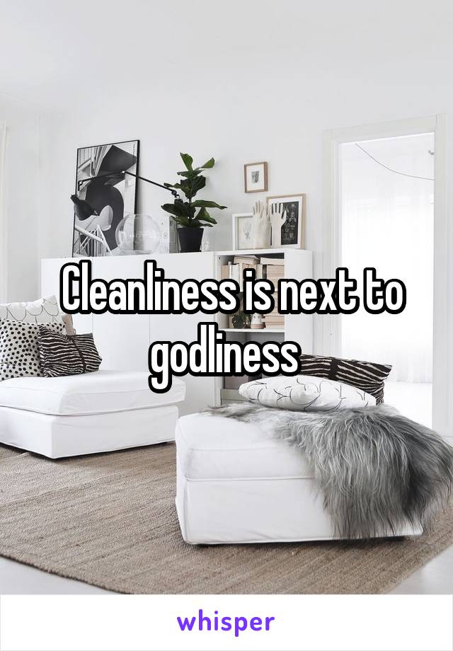  Cleanliness is next to godliness 