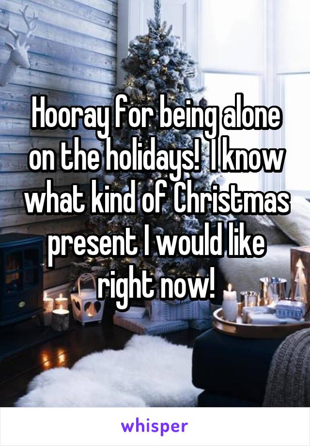 Hooray for being alone on the holidays!  I know what kind of Christmas present I would like right now!
