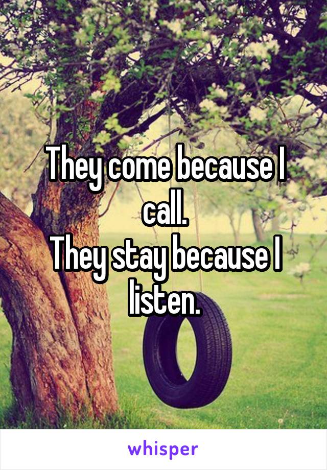 They come because I call.
They stay because I listen.