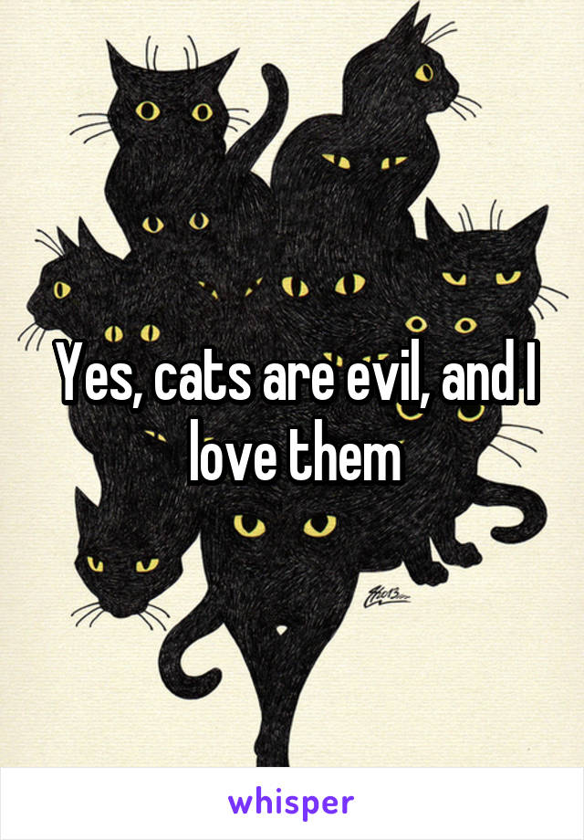 Yes, cats are evil, and I love them