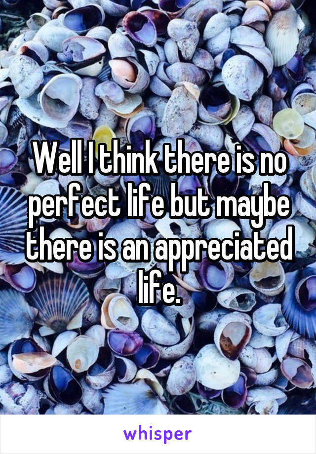 Well I think there is no perfect life but maybe there is an appreciated life.