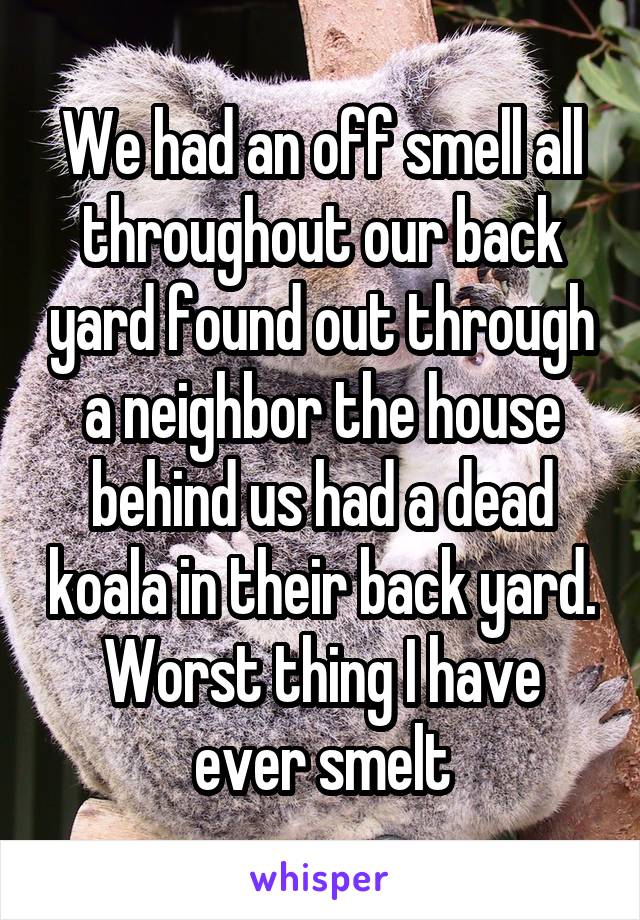 We had an off smell all throughout our back yard found out through a neighbor the house behind us had a dead koala in their back yard. Worst thing I have ever smelt