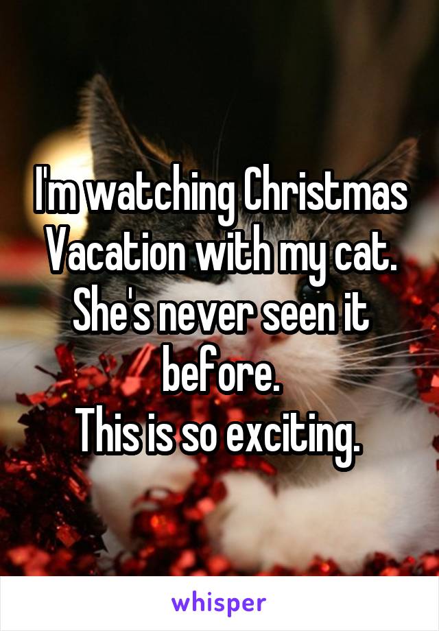 I'm watching Christmas Vacation with my cat. She's never seen it before.
This is so exciting. 