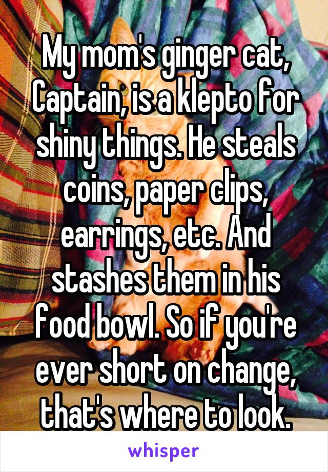 My mom's ginger cat, Captain, is a klepto for shiny things. He steals coins, paper clips, earrings, etc. And stashes them in his food bowl. So if you're ever short on change, that's where to look.