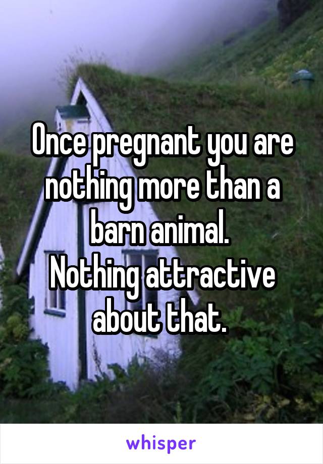 Once pregnant you are nothing more than a barn animal. 
Nothing attractive about that. 