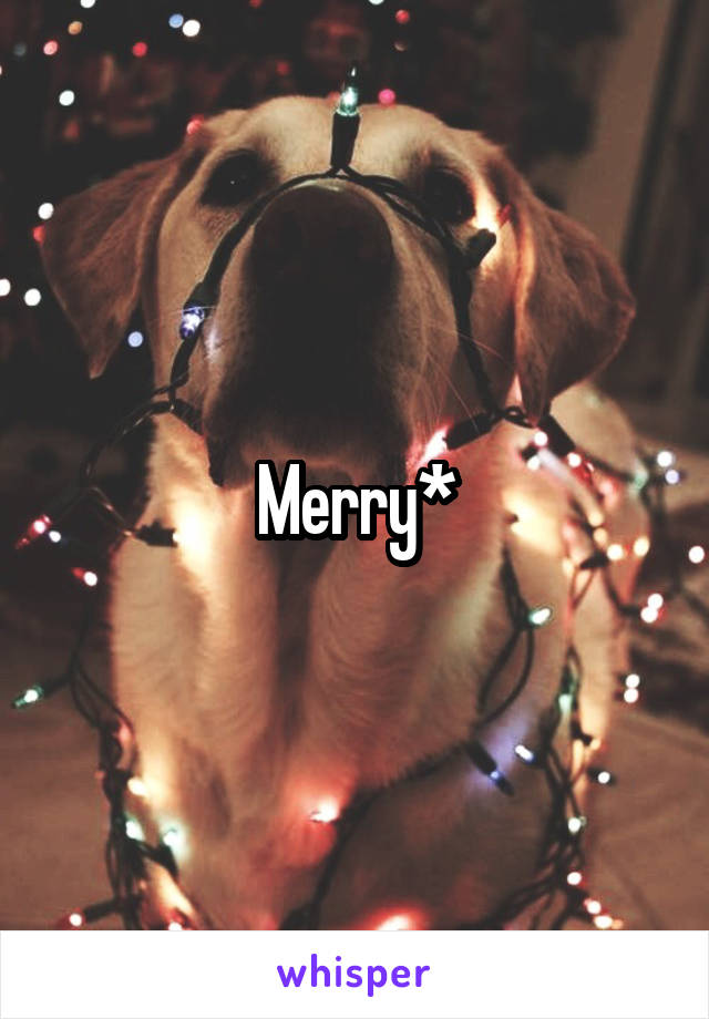 Merry*