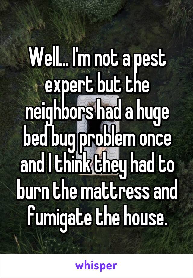 Well... I'm not a pest expert but the neighbors had a huge bed bug problem once and I think they had to burn the mattress and fumigate the house.