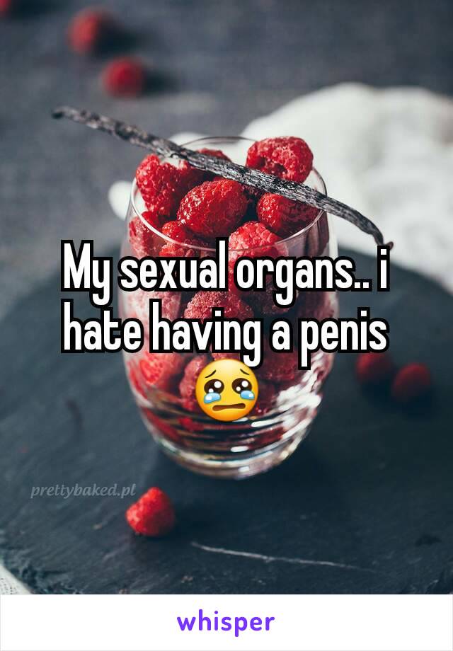 My sexual organs.. i hate having a penis 😢