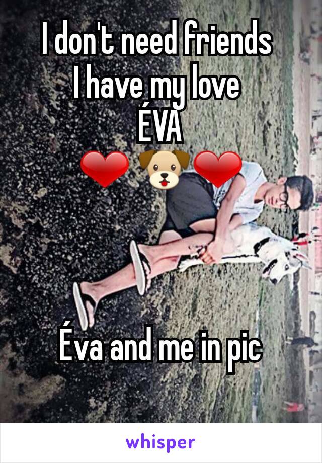 I don't need friends 
I have my love 
ÉVA
❤ 🐶❤



Éva and me in pic