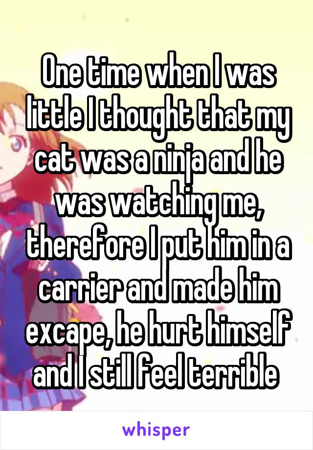 One time when I was little I thought that my cat was a ninja and he was watching me, therefore I put him in a carrier and made him excape, he hurt himself and I still feel terrible 