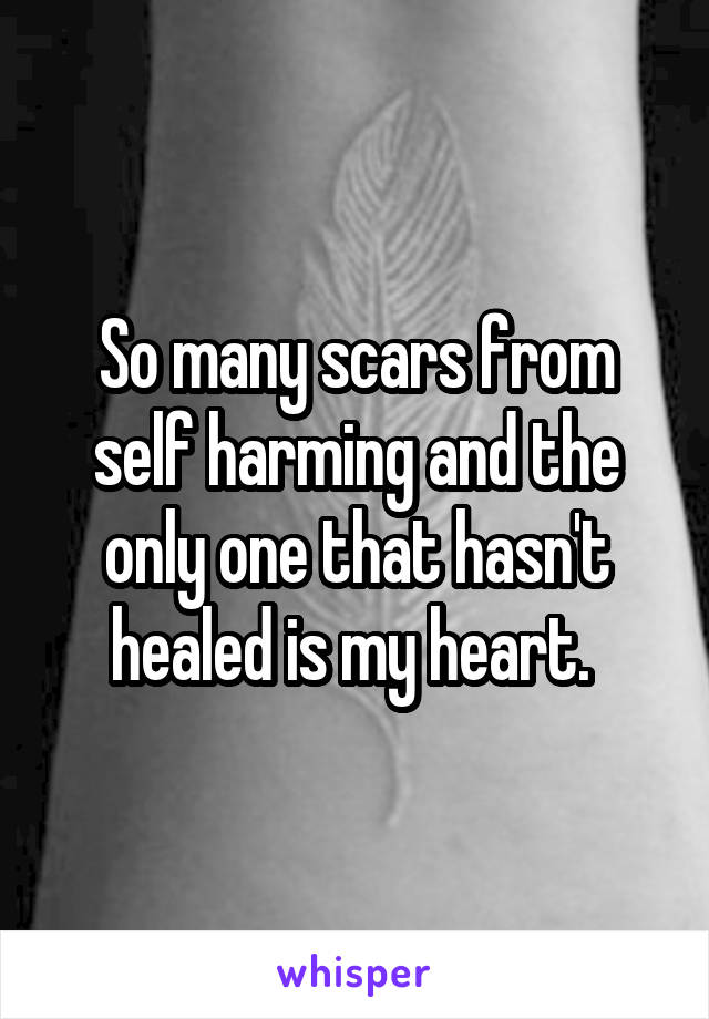 So many scars from self harming and the only one that hasn't healed is my heart. 