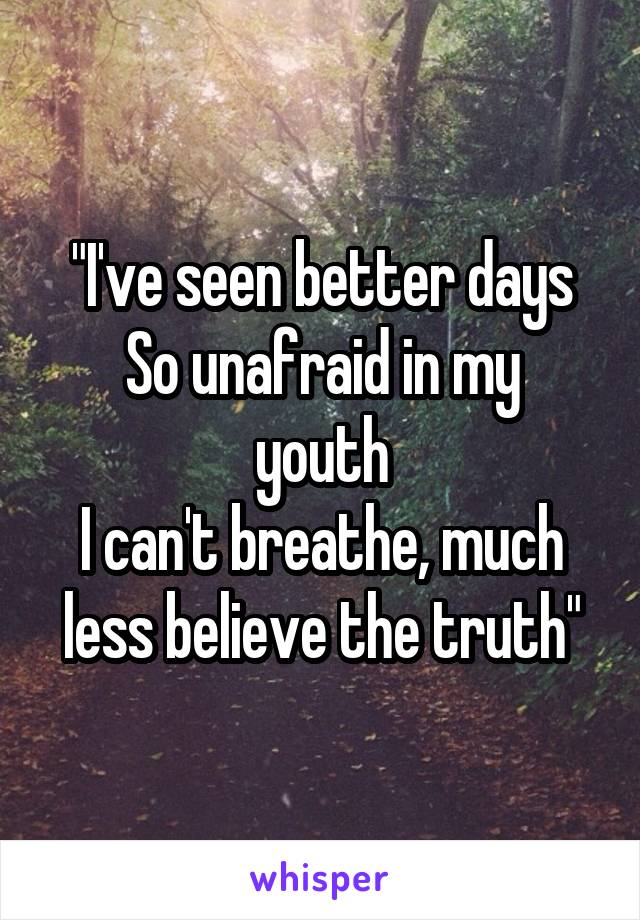 "I've seen better days
So unafraid in my youth
I can't breathe, much less believe the truth"