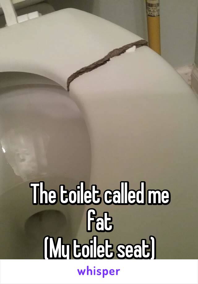 





The toilet called me fat
(My toilet seat)