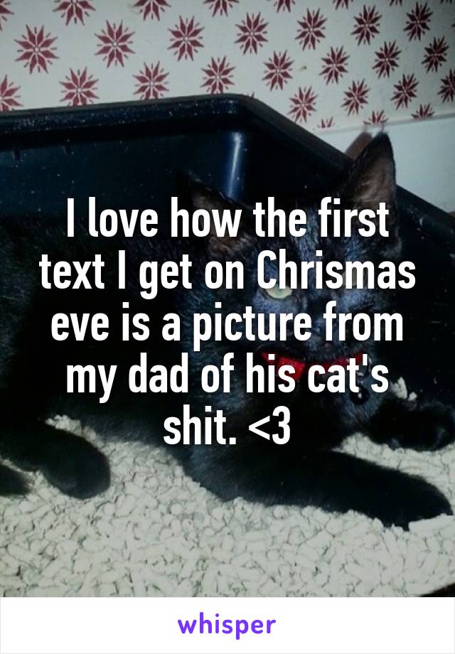 I love how the first text I get on Chrismas eve is a picture from my dad of his cat's shit. <3