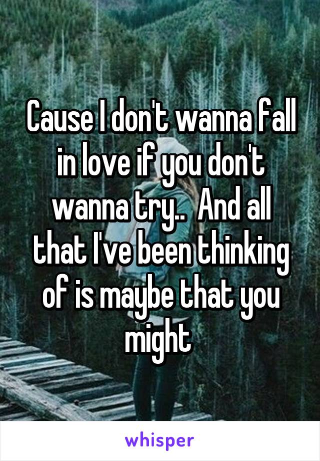 Cause I don't wanna fall in love if you don't wanna try..  And all that I've been thinking of is maybe that you might 