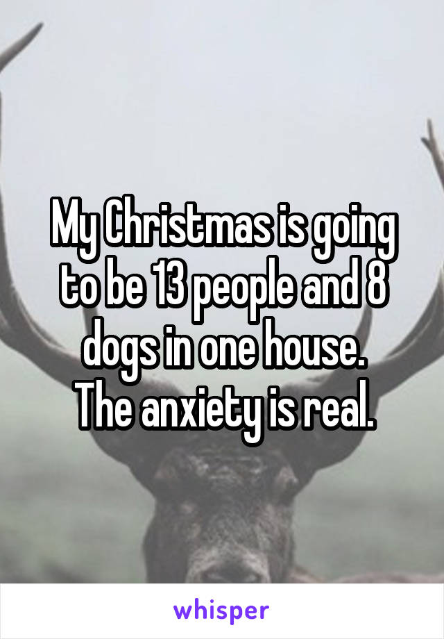 My Christmas is going to be 13 people and 8 dogs in one house.
The anxiety is real.