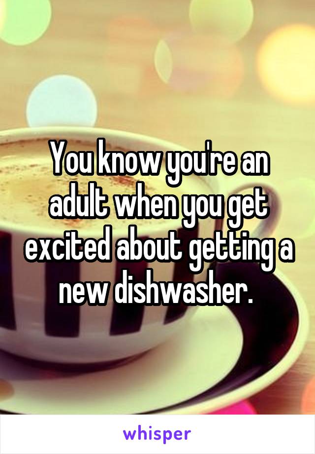 You know you're an adult when you get excited about getting a new dishwasher. 