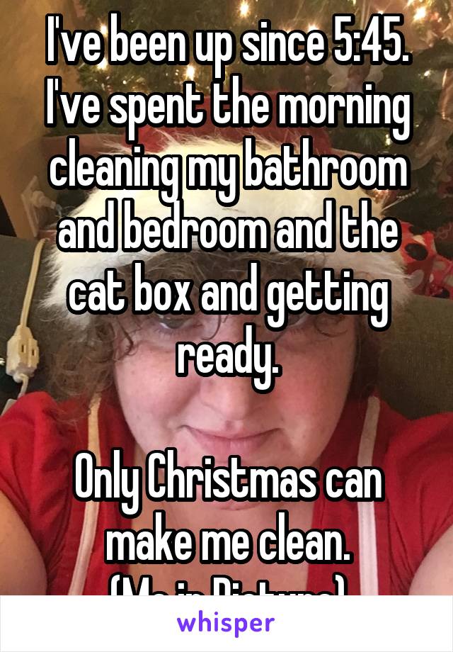 I've been up since 5:45. I've spent the morning cleaning my bathroom and bedroom and the cat box and getting ready.

Only Christmas can make me clean.
(Me in Picture)