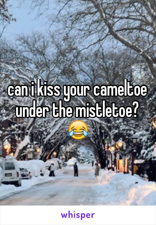 can i kiss your cameltoe under the mistletoe? 😂