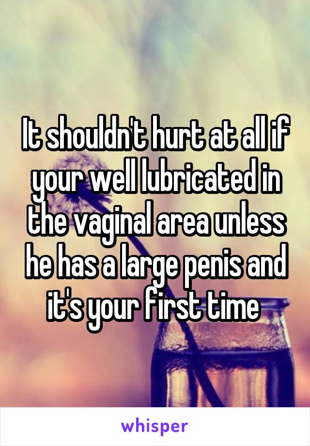 It shouldn't hurt at all if your well lubricated in the vaginal area unless he has a large penis and it's your first time 