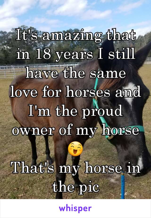 It's amazing that in 18 years I still have the same love for horses and I'm the proud owner of my horse 😄
That's my horse in the pic