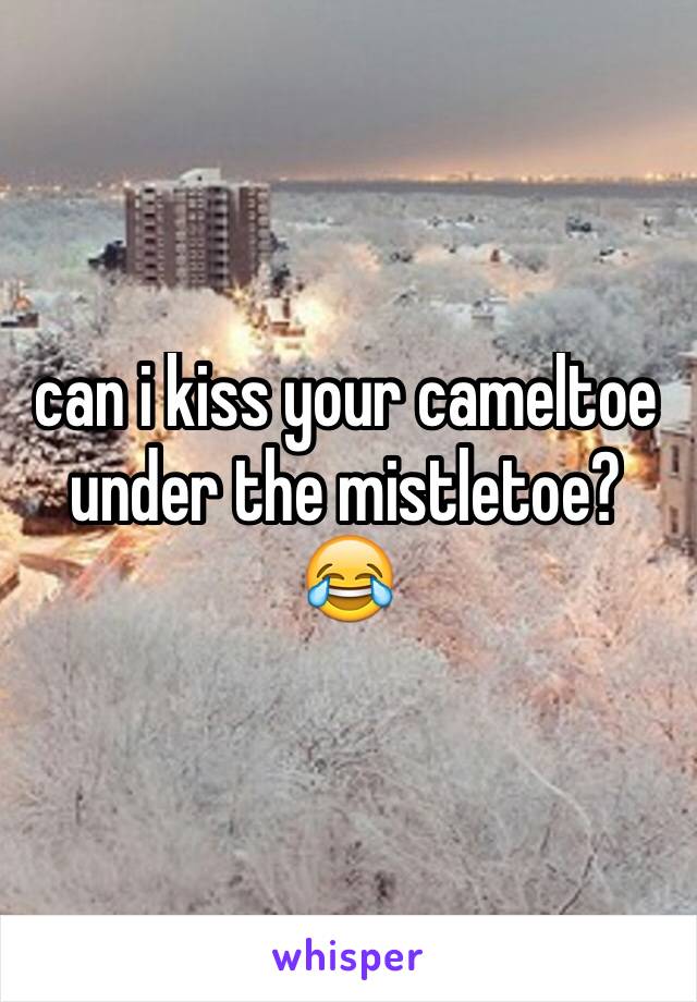 can i kiss your cameltoe under the mistletoe? 😂