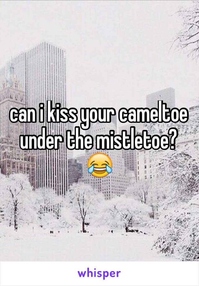 can i kiss your cameltoe under the mistletoe? 😂