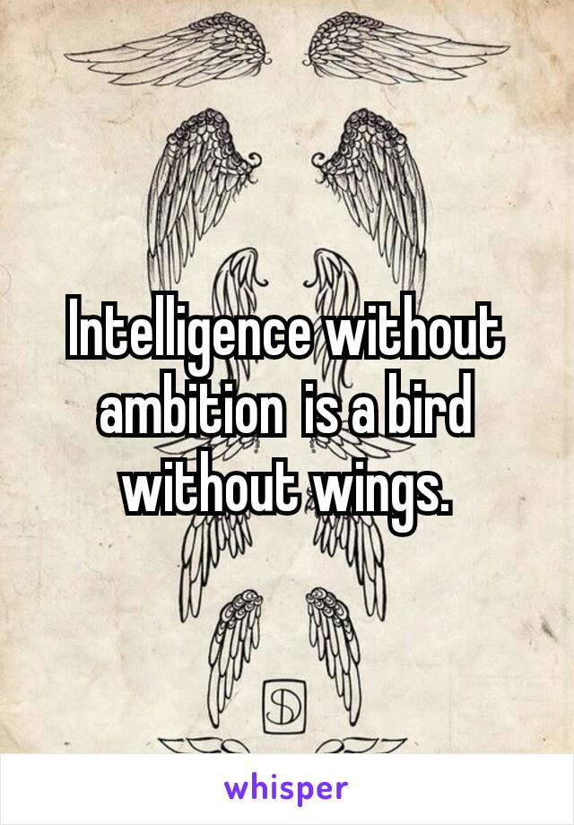 Intelligence without ambition is a bird without wings.