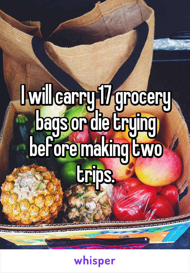 I will carry 17 grocery bags or die trying before making two trips.