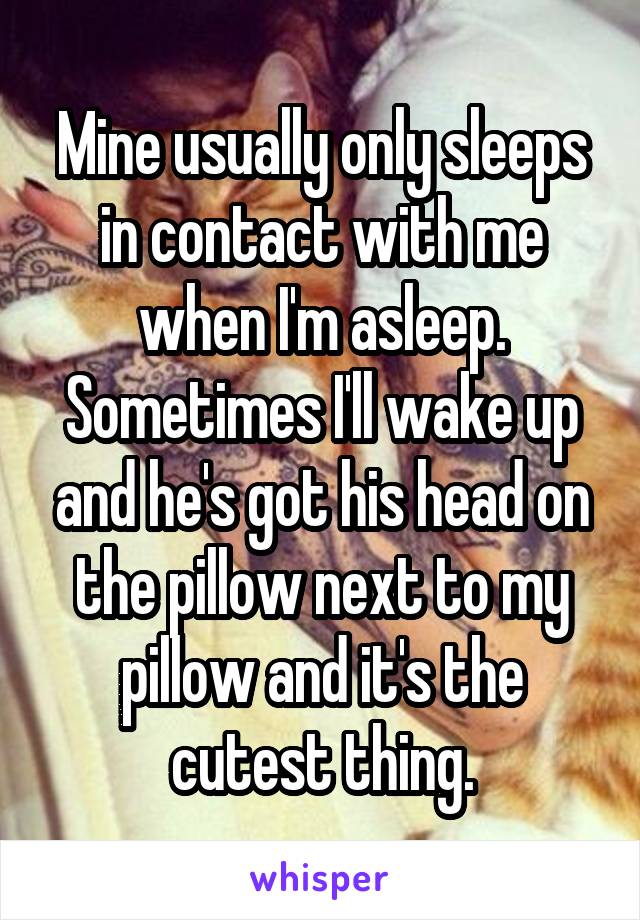 Mine usually only sleeps in contact with me when I'm asleep. Sometimes I'll wake up and he's got his head on the pillow next to my pillow and it's the cutest thing.