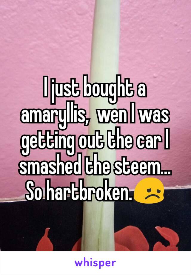 I just bought a amaryllis,  wen I was getting out the car I smashed the steem...  So hartbroken.😞